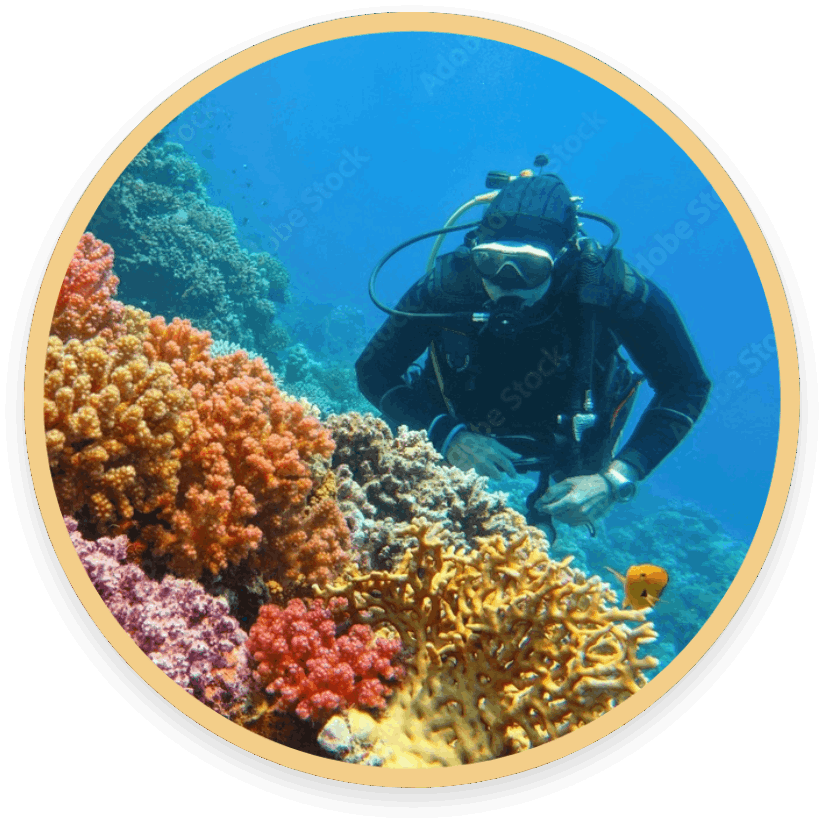 Unterwassertaucher bei der Erforschung von Korallen - Start runde bild