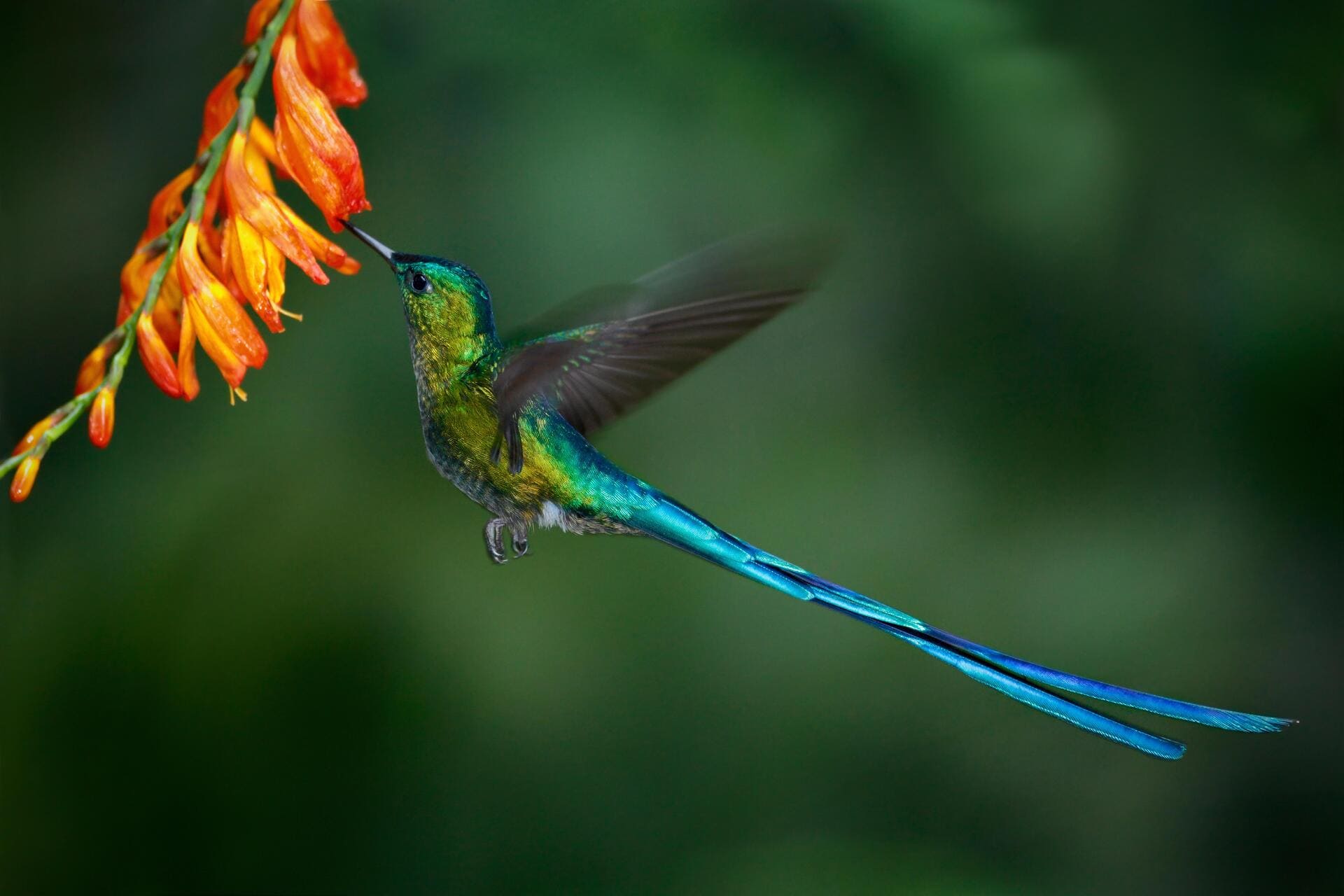 Humboldt Adventure - Start